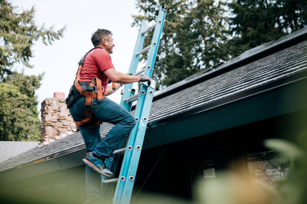 Best Roof Leak Repair  in North Rock Springs, WY